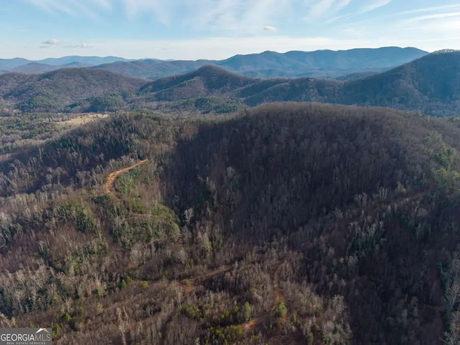 156+ Higdon Creek Road, Blue Ridge, GA 30513 - #2