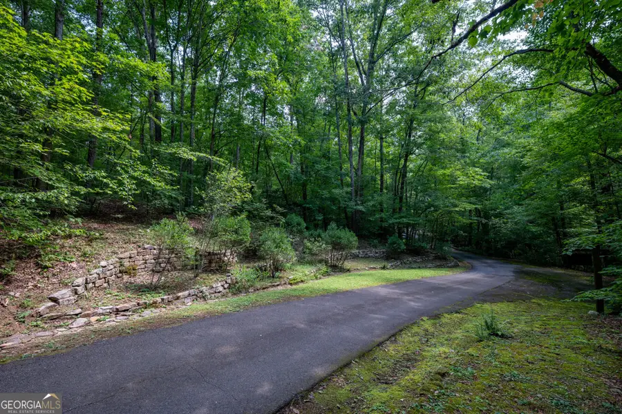 464 Poole Road, Ball Ground, GA 30107 - #3