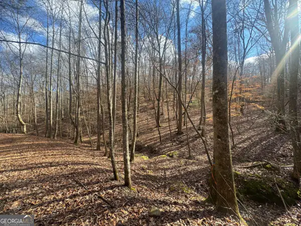 LOT 2750 Nimrod Court, Ellijay, GA 30540