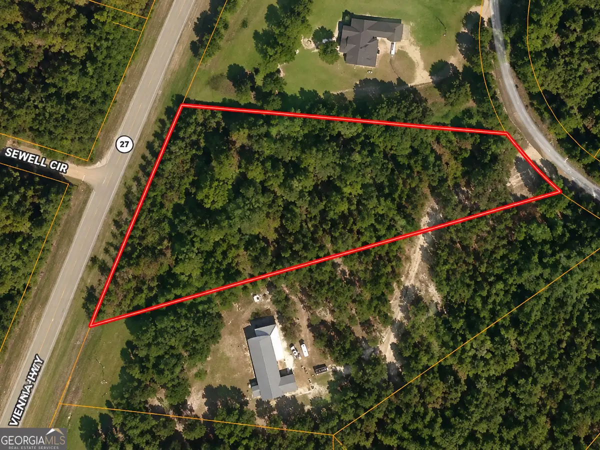 2.7 ACRES Flamingo Estate, Hawkinsville, GA 31036 - #1