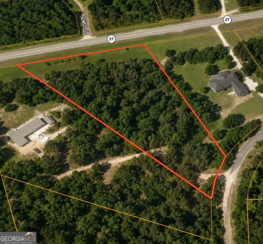 2.7 ACRES Flamingo Estate, Hawkinsville, GA 31036 - #2