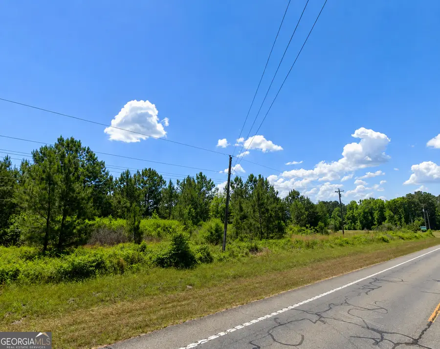 2.7 ACRES Flamingo Estate, Hawkinsville, GA 31036 - #3