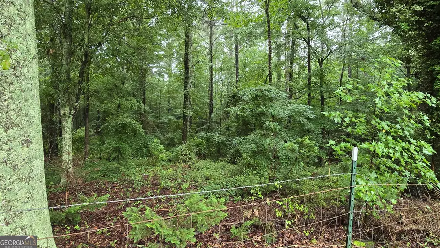 0 Bob Holman Road, Athens, GA 30607 - #3