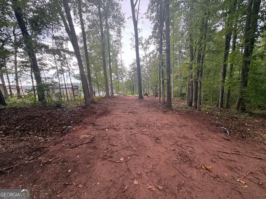 LOT 92 Sycamore Dr, Sparta, GA 31087 - #3
