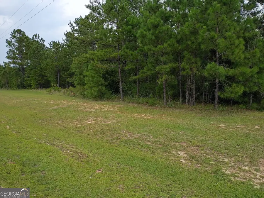 LOT 7 High Point, East Dublin, GA 31027 - #3