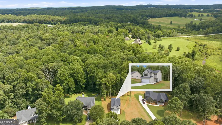 318 Stonington Drive, Mount Airy, GA 30563 - #3