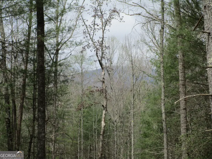 0 East New Hope Road #TRACT B, Ellijay, GA 30536 - #2