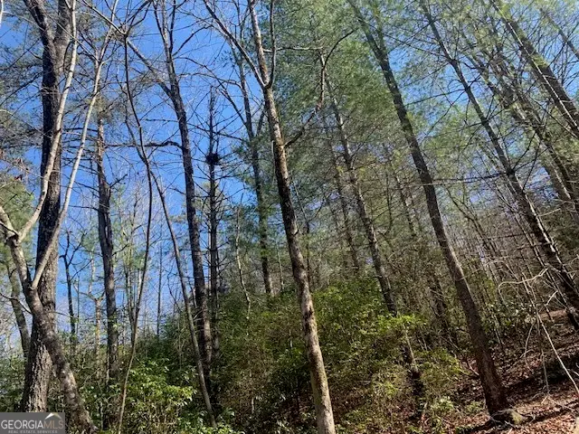 0 East New Hope Road #TRACT A, Ellijay, GA 30536 - #3