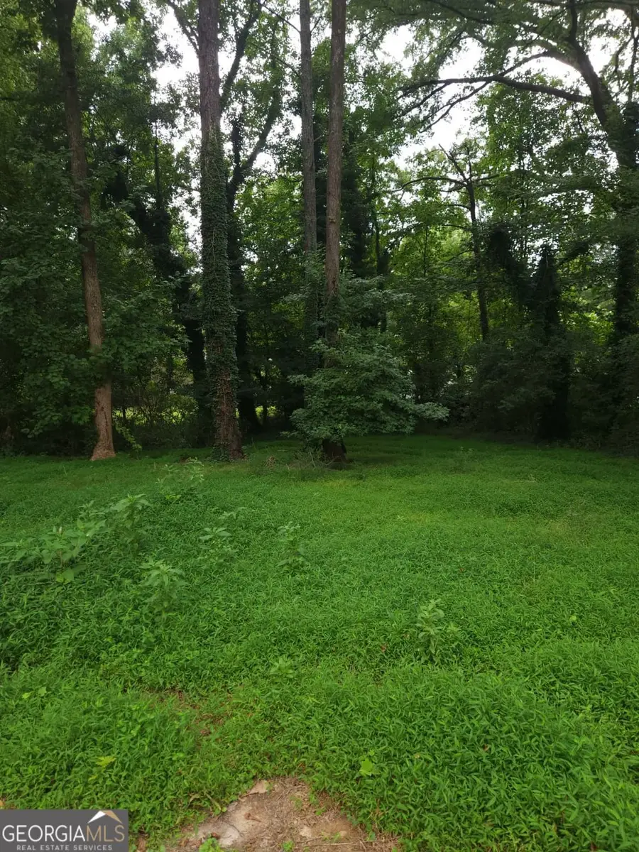 8257 Creekline Court, Riverdale, GA 30274 - #2