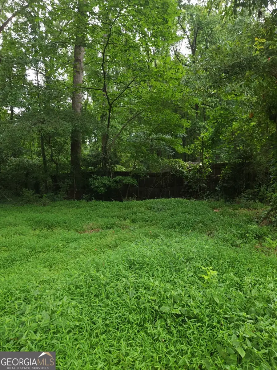 8257 Creekline Court, Riverdale, GA 30274 - #3