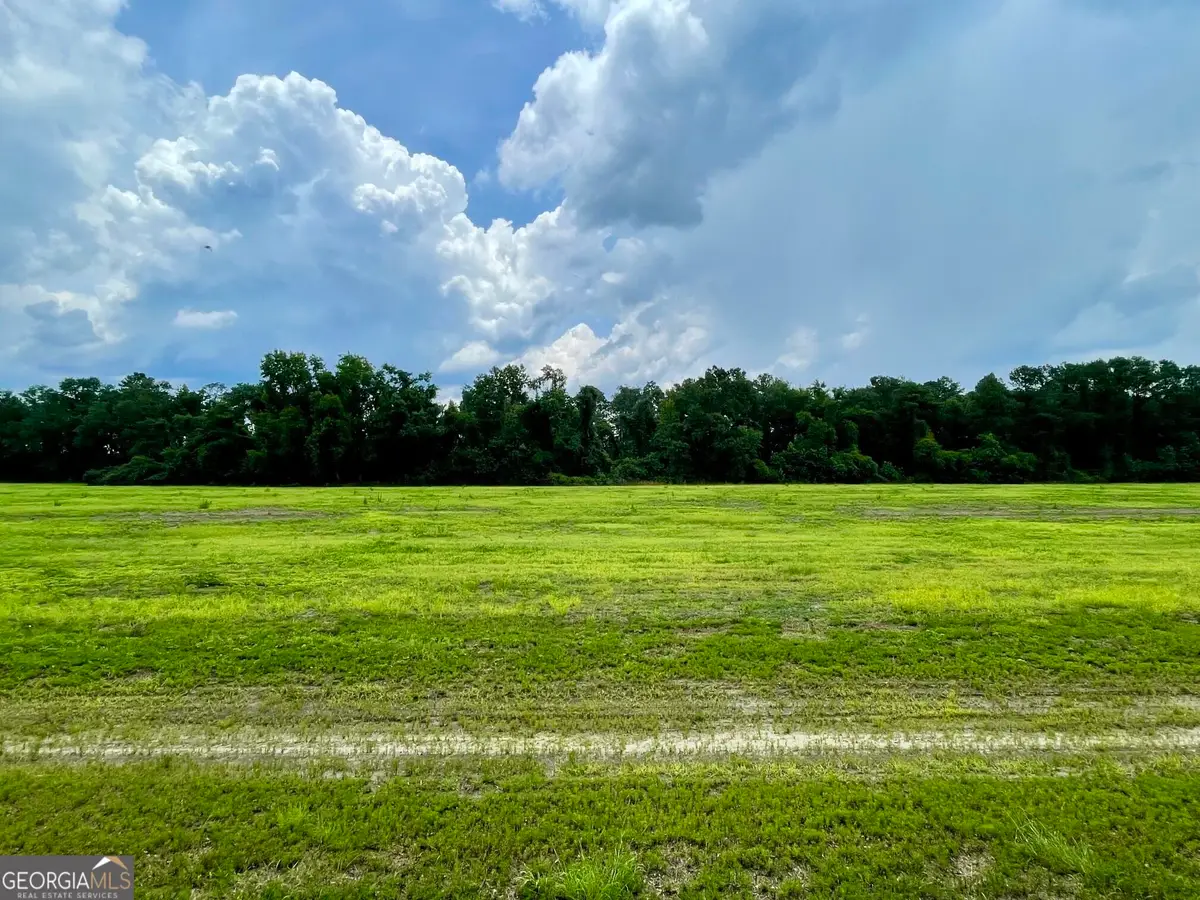 146 Weller's Way, Brooklet, GA 30415 - #1