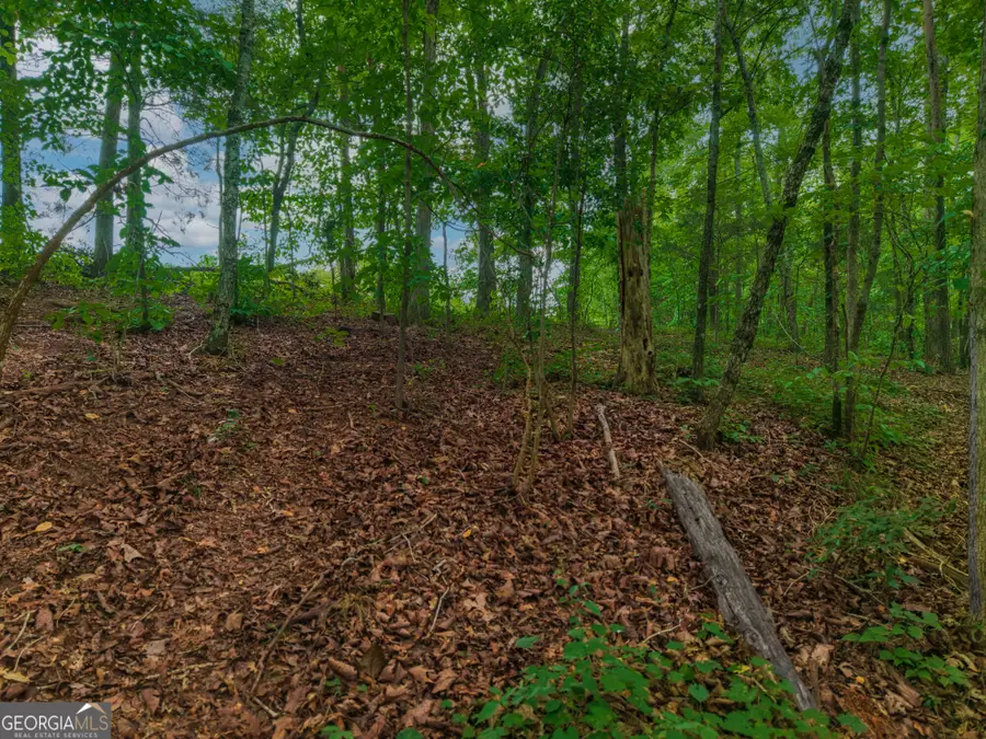 0 Hobgood Road, Rydal, GA 30171 - #2