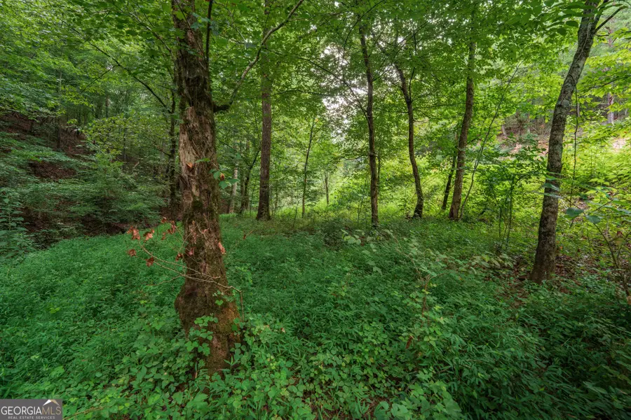 0 Hobgood Road, Rydal, GA 30171 - #3