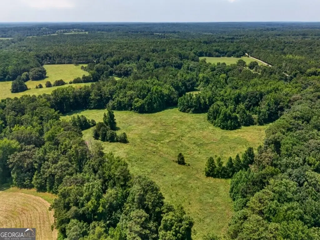 1744 Alexander Road, Monticello, GA 31064 - #1