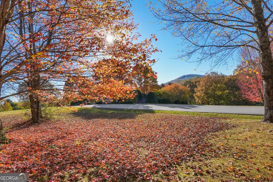 0 Rome Beauty Lane, Lot 4, Clarkesville, GA 30523 - #2