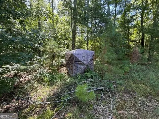 0 Kendricks Mill Road, Crawfordville, GA 30631 - #2