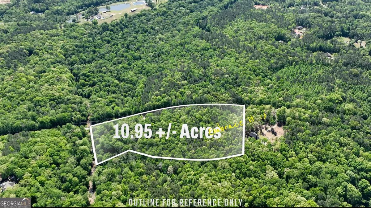 0 Highway 54 #10.95+/- AC, Senoia, GA 30276 - #1