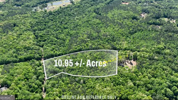 0 Highway 54 #10.95+/- AC, Senoia, GA 30276