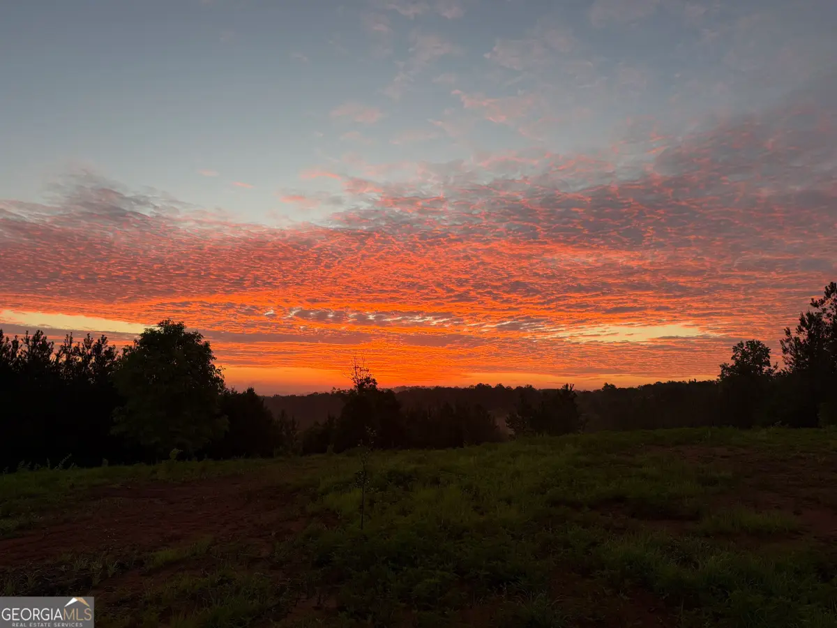 +/- 190 AC Bevis Road, Franklin, GA 30217 - #1