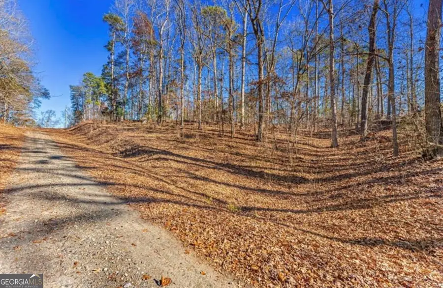 0 Mountain View Road, Lavonia, GA 30553 - #2
