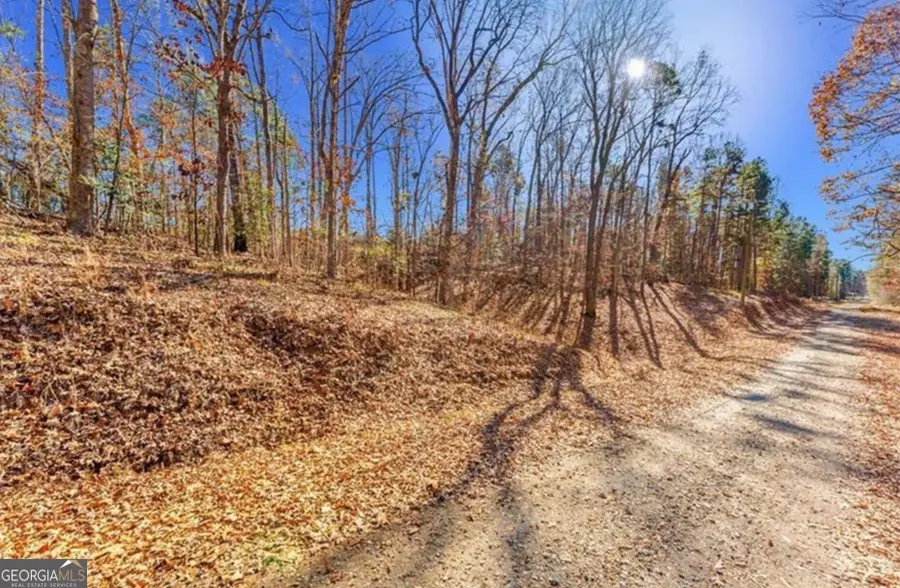 0 Mountain View Road, Lavonia, GA 30553 - #3