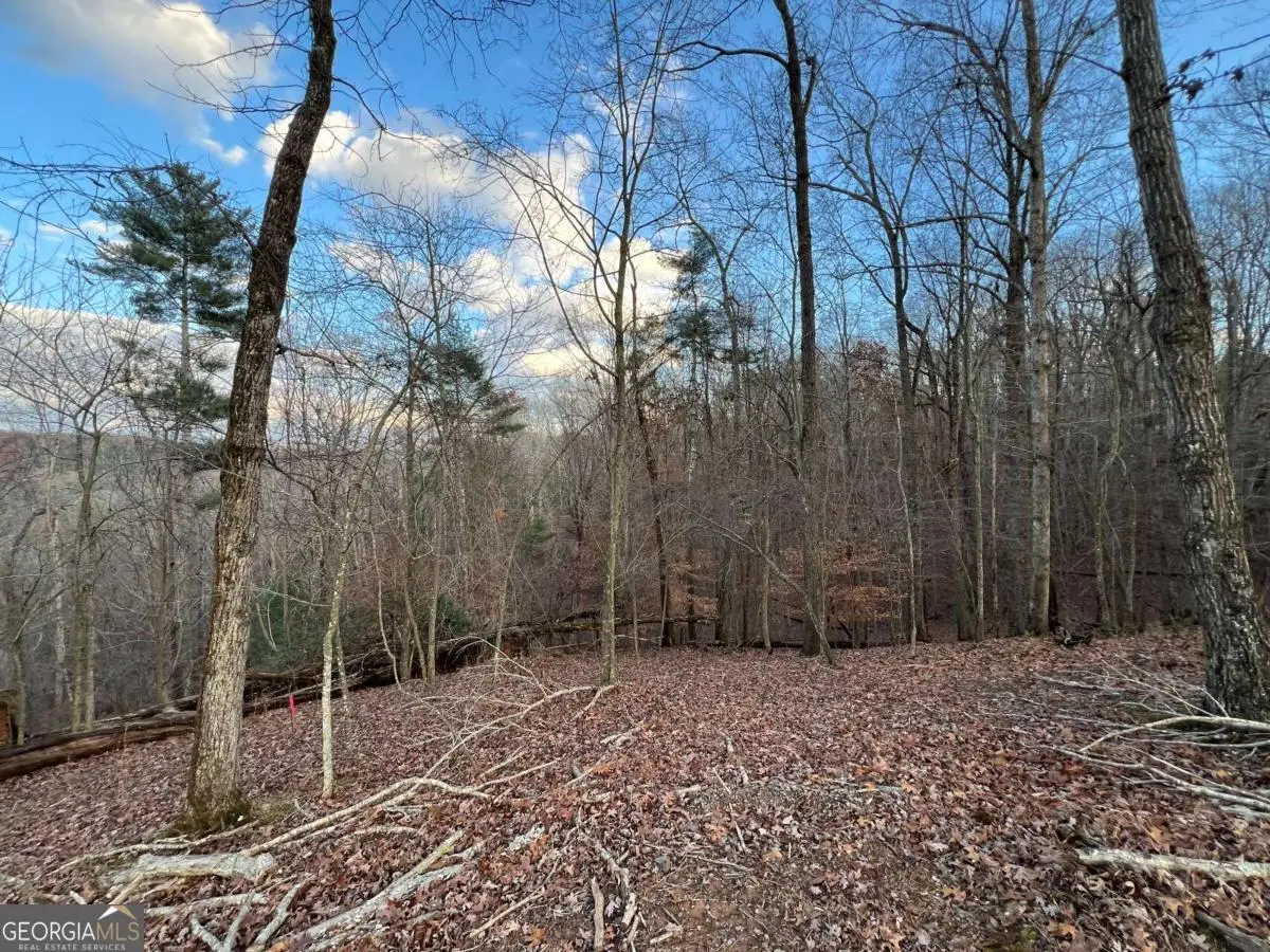 LOT 403 Crown Court, Ellijay, GA 30540 - #1