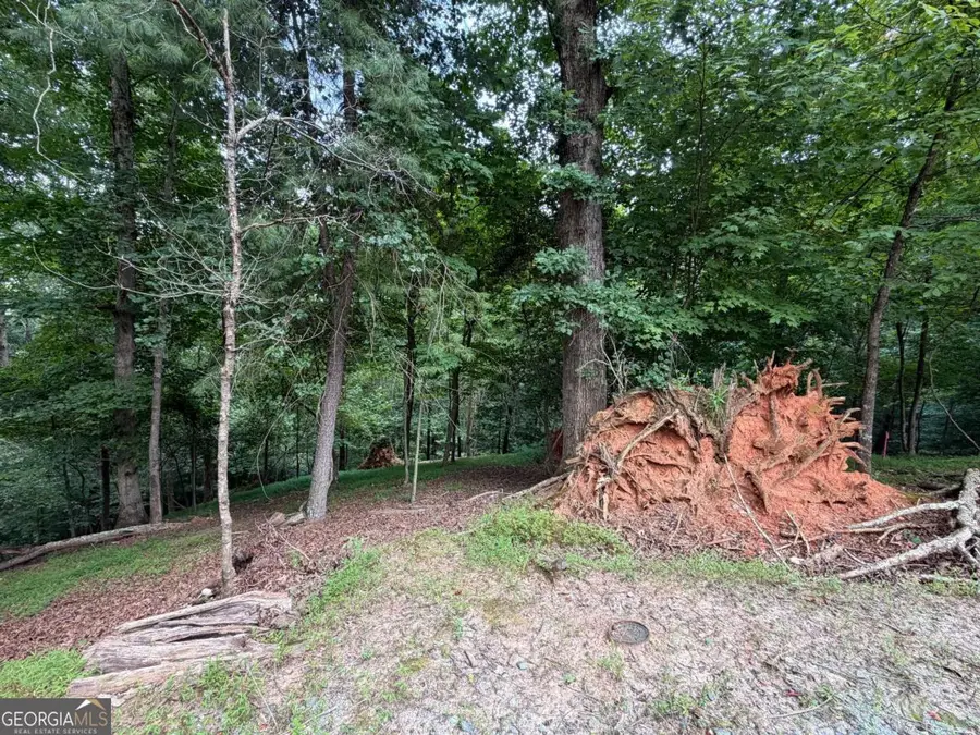 LOT 403 Crown Court, Ellijay, GA 30540 - #3