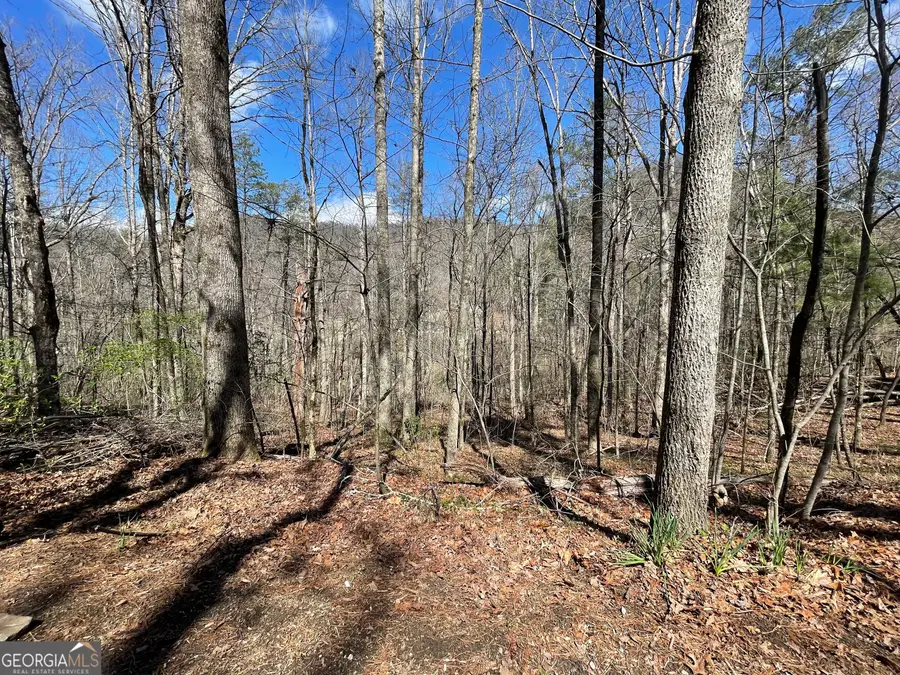 0 Bridge Creek Road, Tiger, GA 30576 - #3