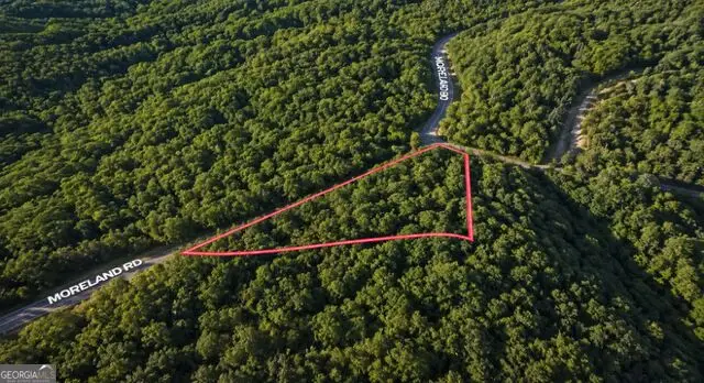 0 Roaring Forks Lane, Ellijay, GA 30540 - #1