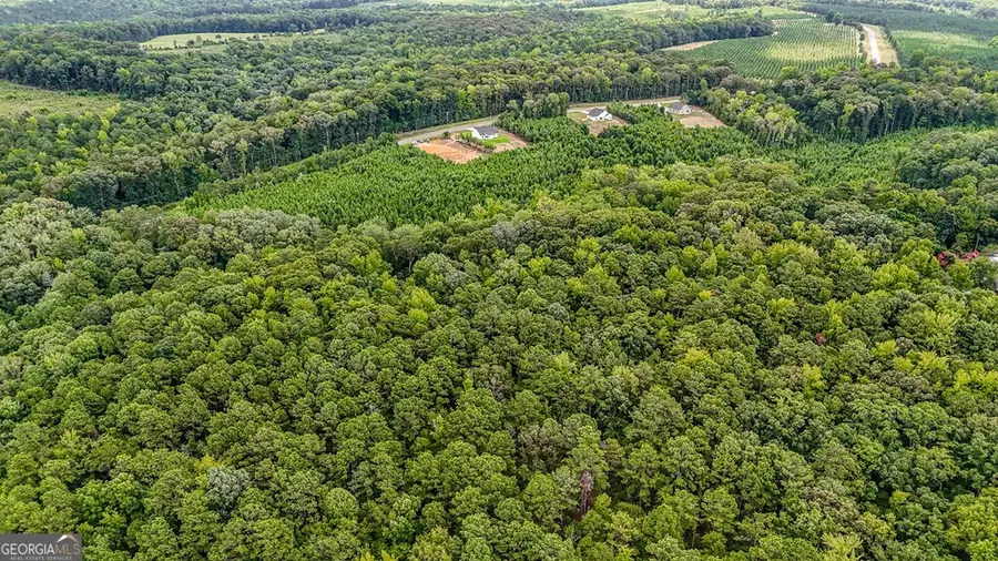 124 Gumm Cemetary Road, Milledgeville, GA 31061 - #3