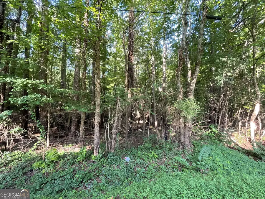 7154 Old Highway 411, Chatsworth, GA 30705 - #3