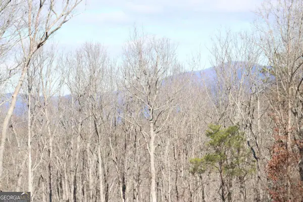 179 Trailwood Drive, Ellijay, GA 30536