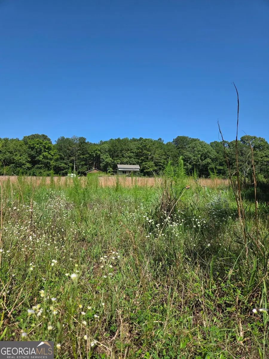 0 Millen Road, Monticello, GA 31064 - #3