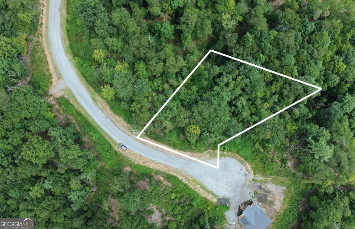 LOT 49 Mountain Laurel Ridge, Mineral Bluff, GA 30559 - #1