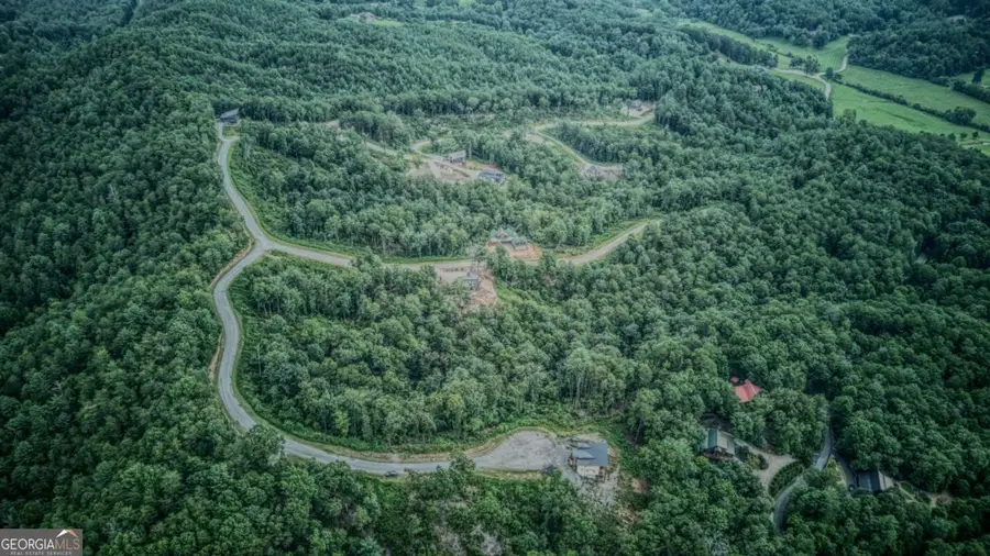 LOT 49 Mountain Laurel Ridge, Mineral Bluff, GA 30559 - #2