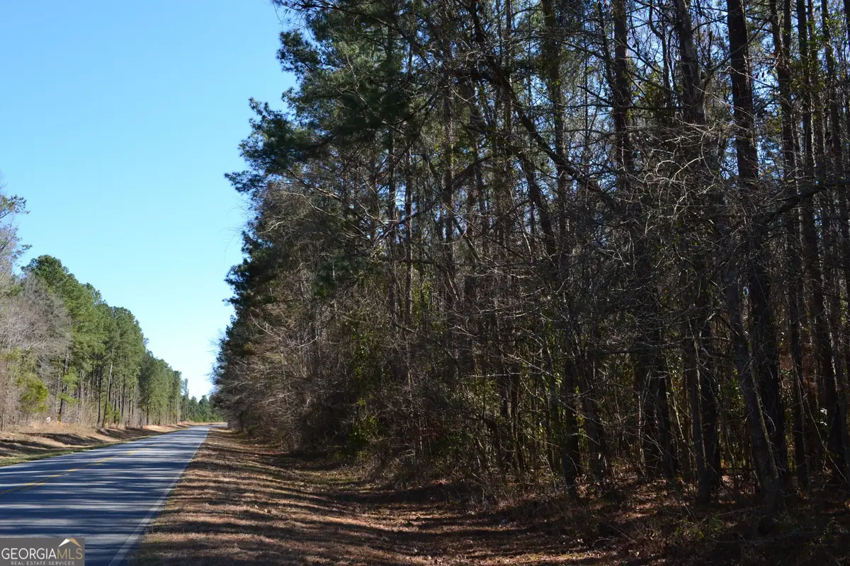 0 Mark Wood Road, Dexter, GA 31019 - #1