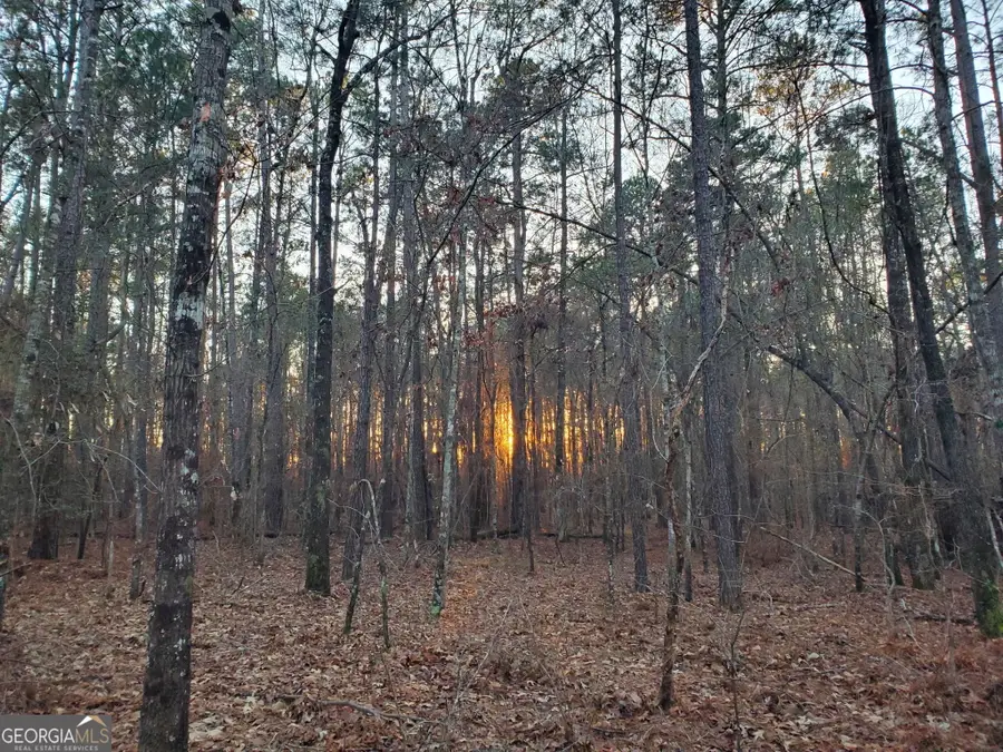 0 Mark Wood Road, Dexter, GA 31019 - #2