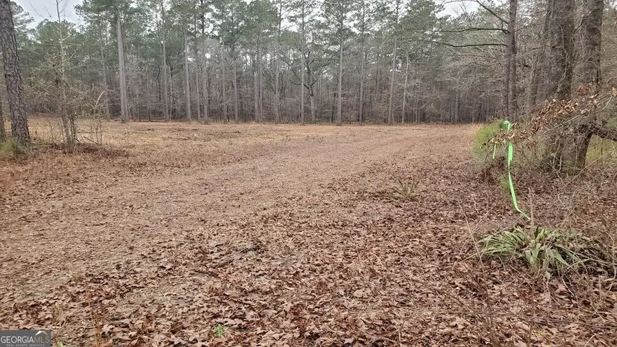 0 Mark Wood Road, Dexter, GA 31019 - #3