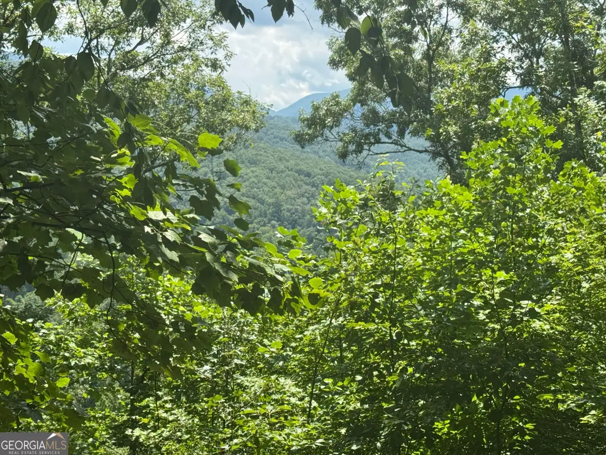 #2 & #7 Ivy Lane, Hiawassee, GA 30546 - #1