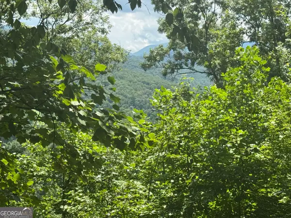 #2 & #7 Ivy Lane, Hiawassee, GA 30546