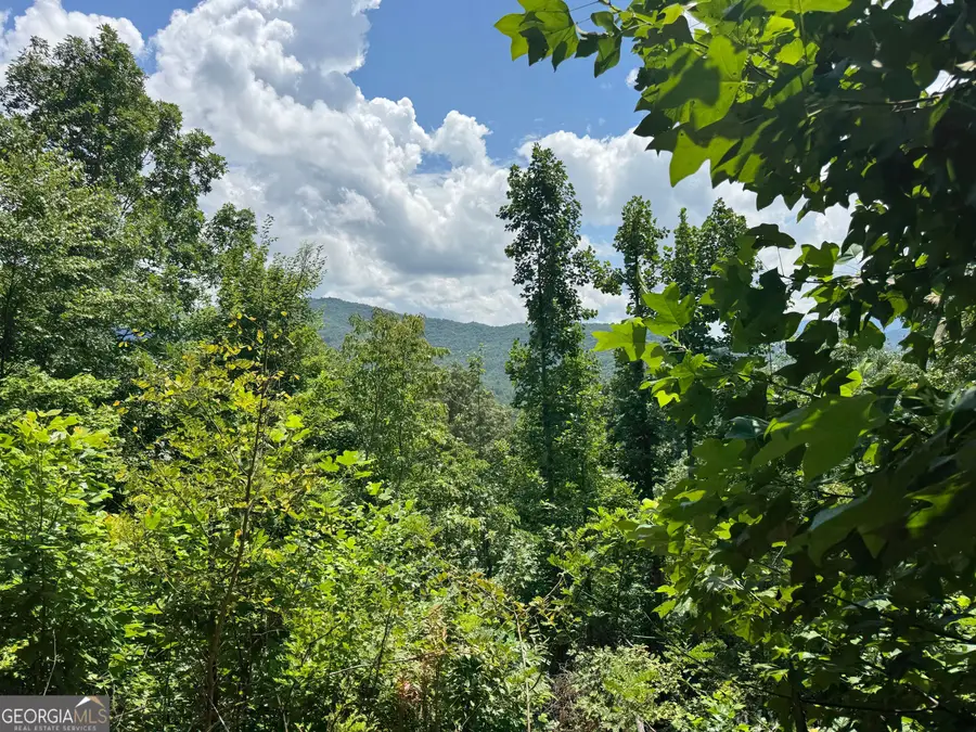 #2 & #7 Ivy Lane, Hiawassee, GA 30546 - #2
