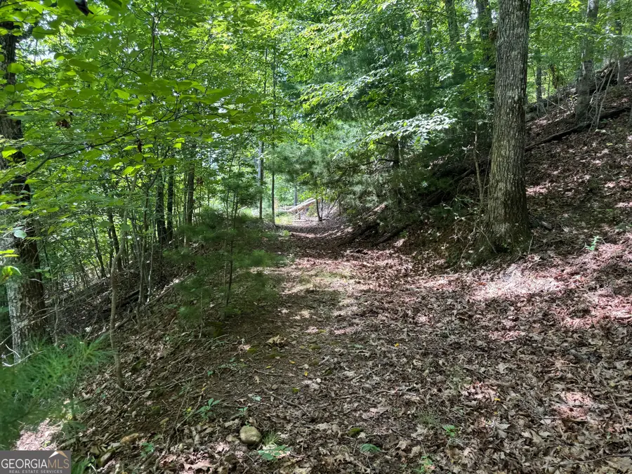#2 & #7 Ivy Lane, Hiawassee, GA 30546 - #3