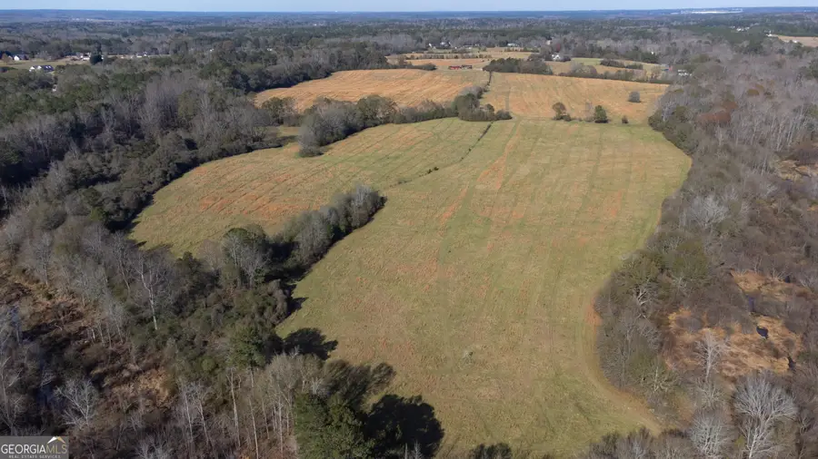 0 Steele Road, Griffin, GA 30223 - #3