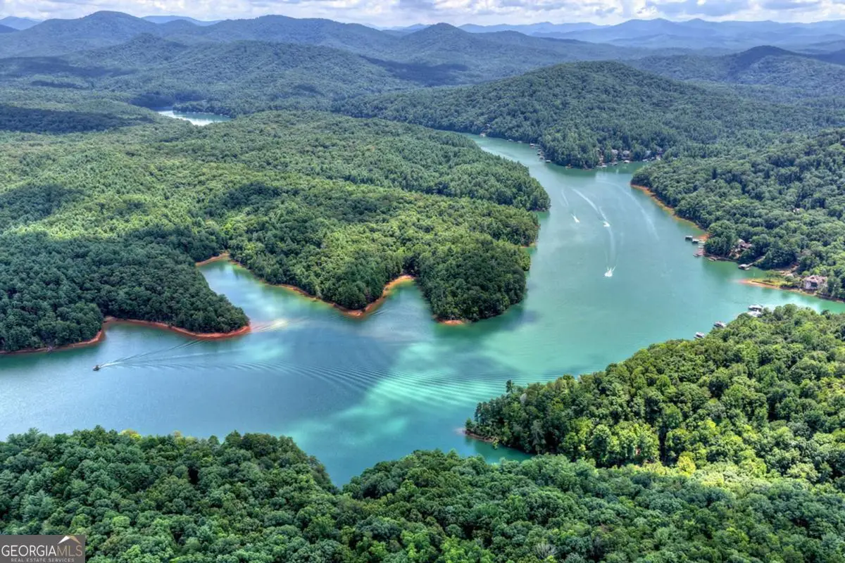 LT 60 Necowa Cove Overlook, Blue Ridge, GA 30513 - #1