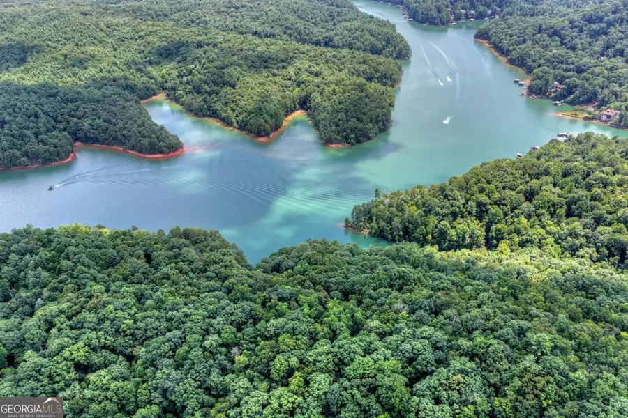LT 60 Necowa Cove Overlook, Blue Ridge, GA 30513 - #3