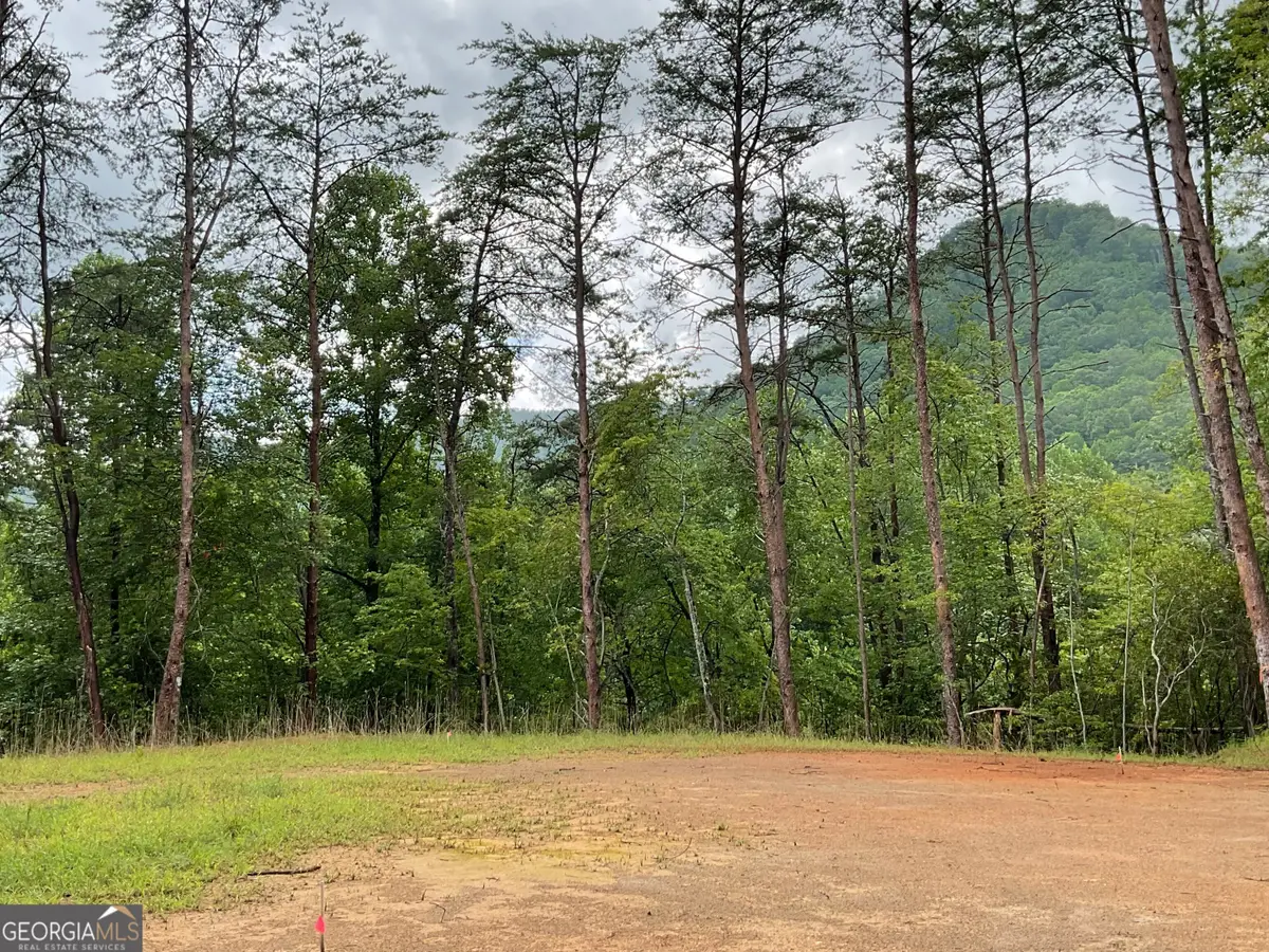 675 Big Creek Road, Otto, NC 28763 - #1