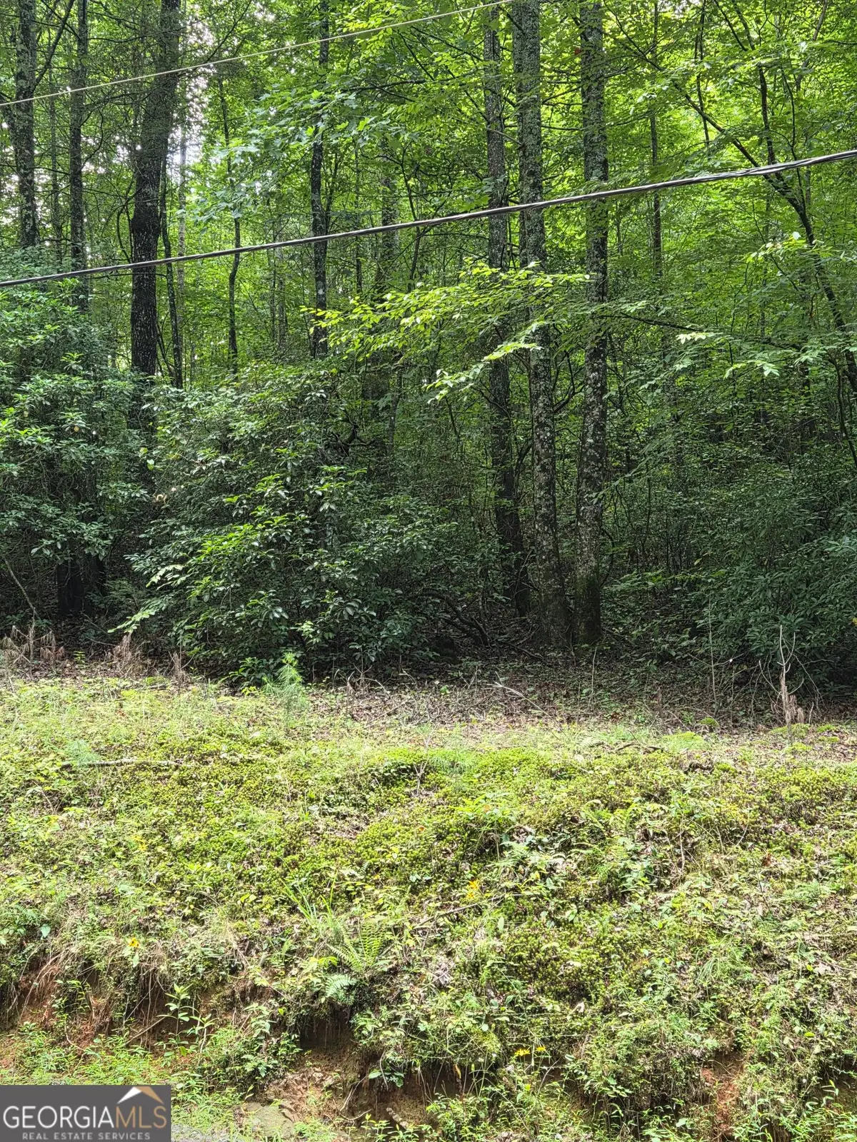 00 Chopped Oak, Ellijay, GA 30540 - #1