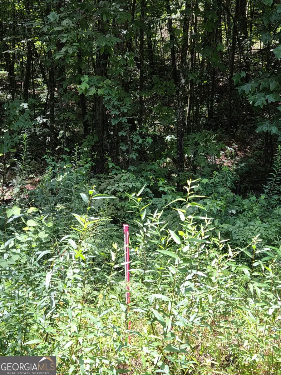 00 Chopped Oak, Ellijay, GA 30540 - #3