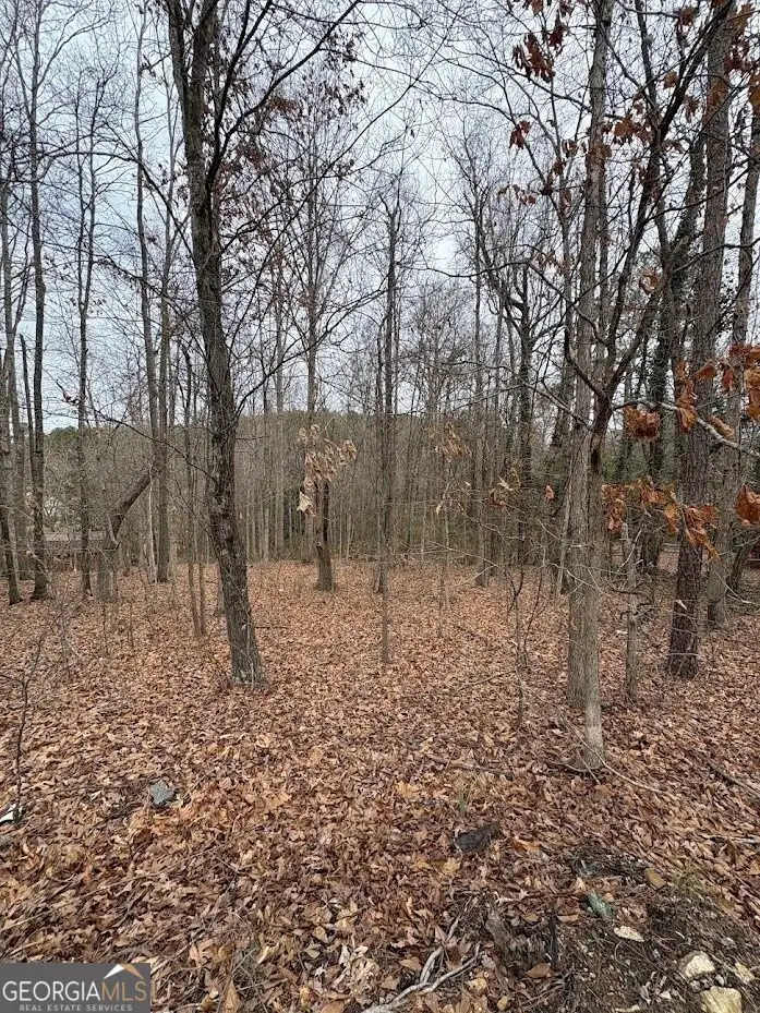0 Polk Avenue, Dallas, GA 30132 - #2