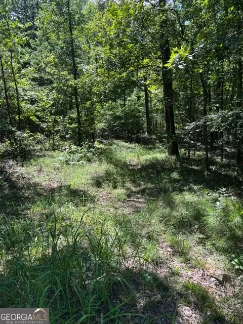 3980 Clinton Court, Villa Rica, GA 30180 - #1